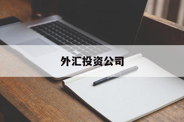 外汇投资公司(外汇投资公司是干嘛的)